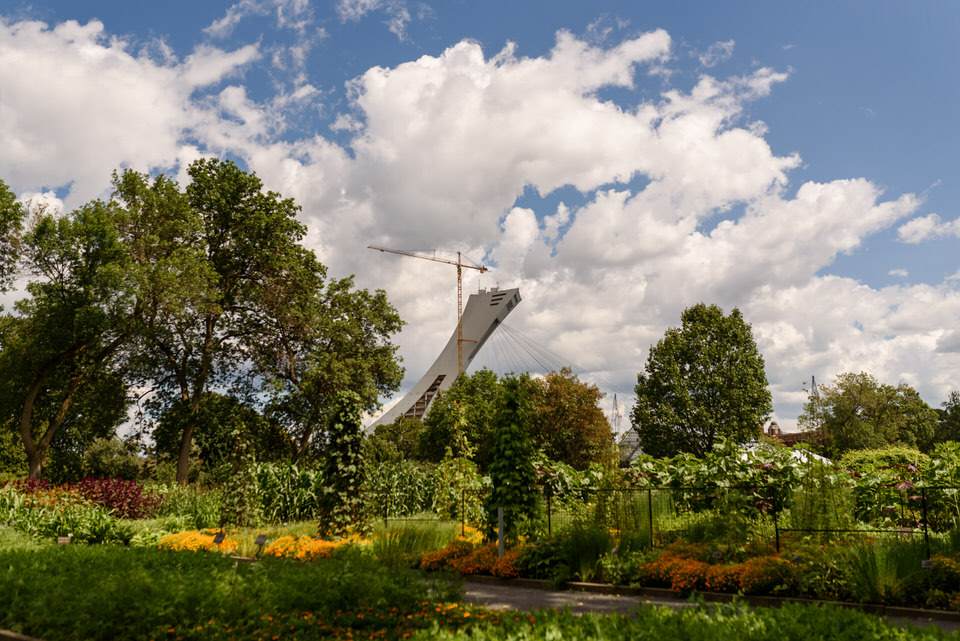 View of the Olympic stadium from the Montreal botanical garden