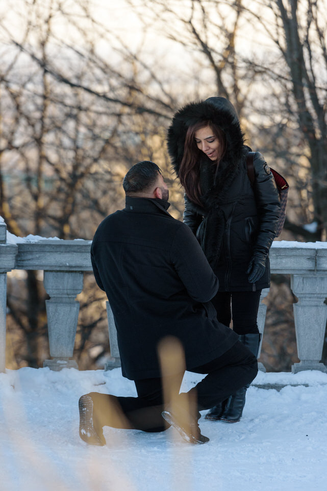 Winter proposal in Montreal