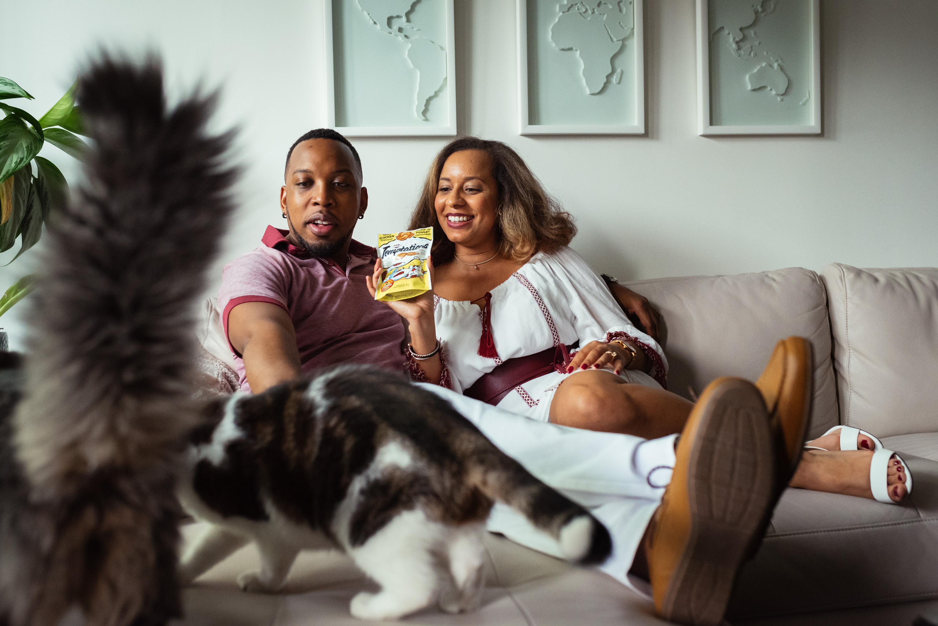 Engagement photos with cats 01